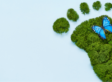 Big Data Unleashing Environmental Insights